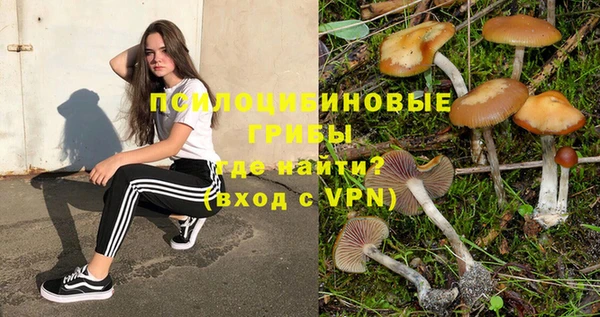 не бодяженный Алзамай